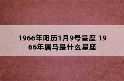 1966年阳历1月9号星座 1966年属马是什么星座